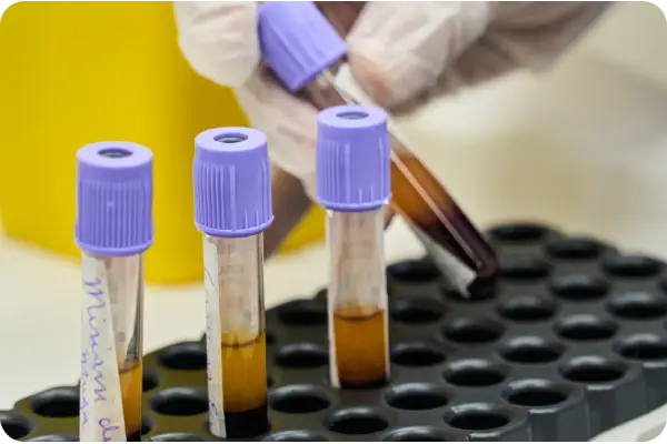 examenes y prodecimientos