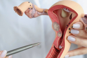 ¿Qué puede causar un desorden hormonal? Síntomas, causas y cuándo consultar